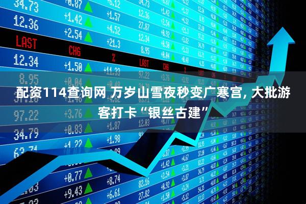 配资114查询网 万岁山雪夜秒变广寒宫, 大批游客打卡“银丝古建”